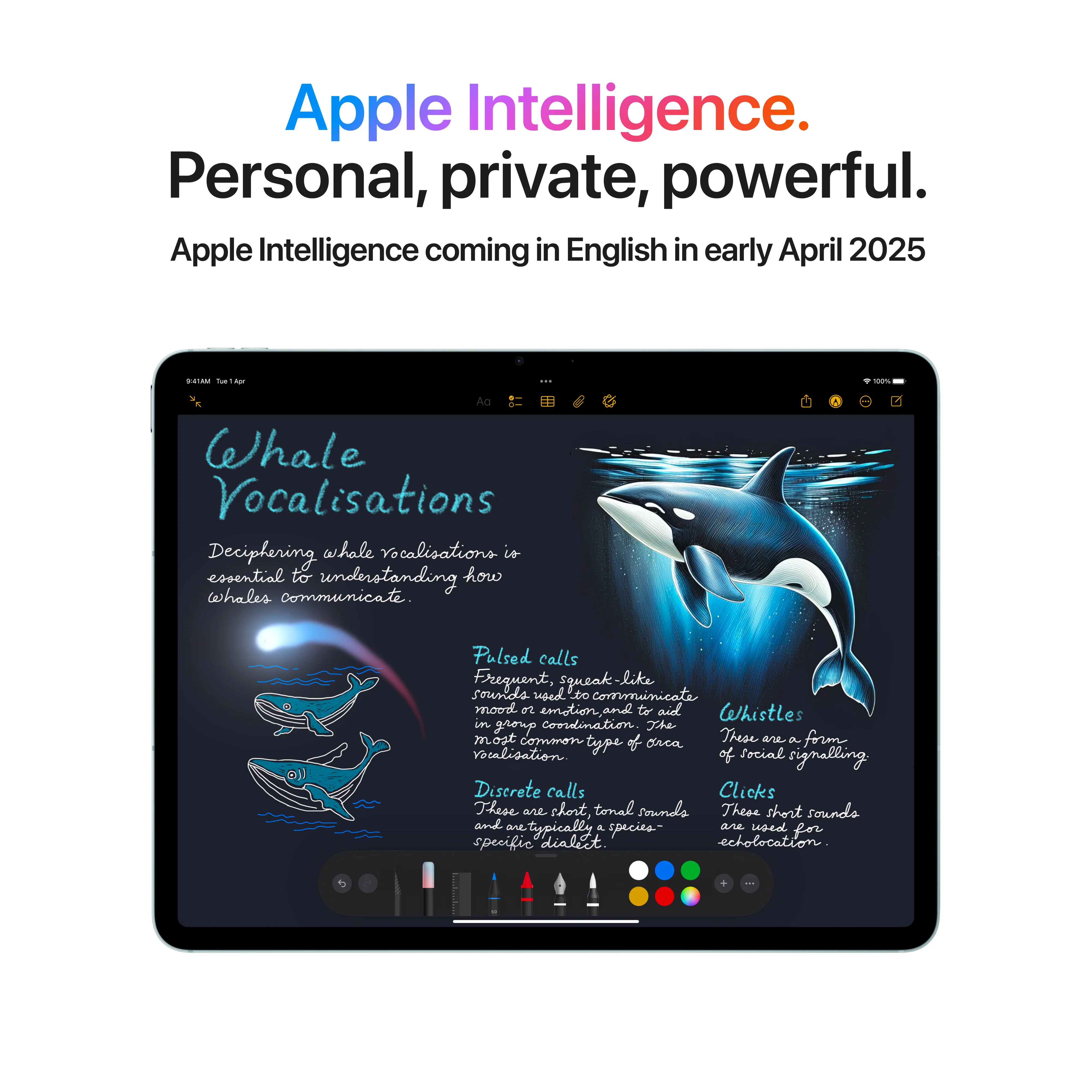 11-inch iPad Air Wi-Fi + Cellular 1TB - Space Grey (M3) - Image 5